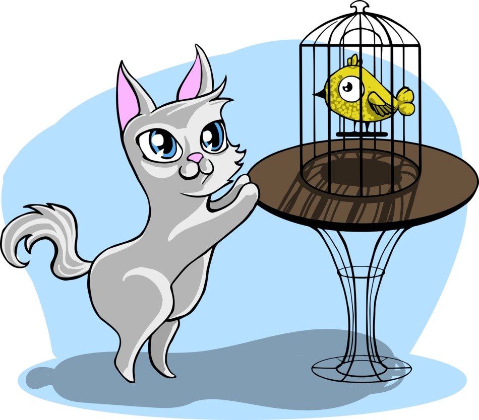 Кот и птица в клетке