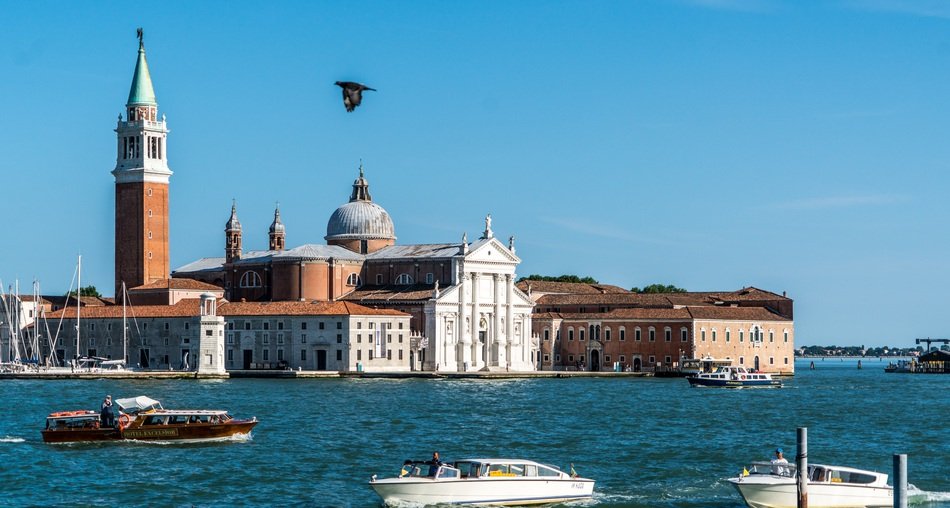 bird over venice
