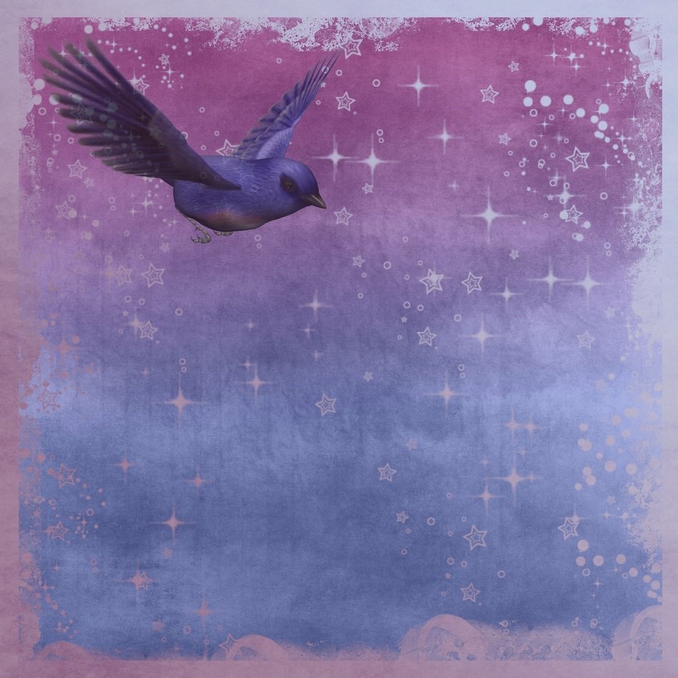 Bird on the colorful background clipart