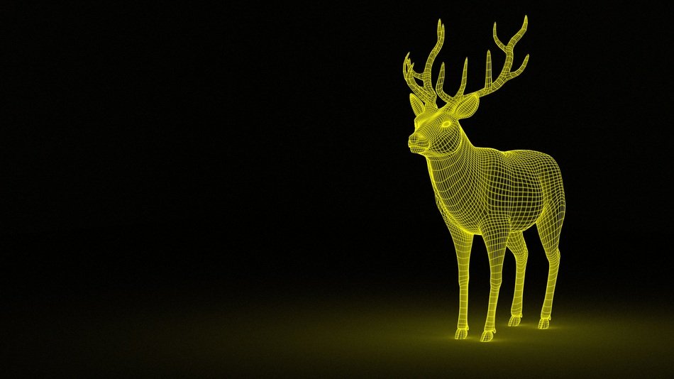 Dream Deer drawing