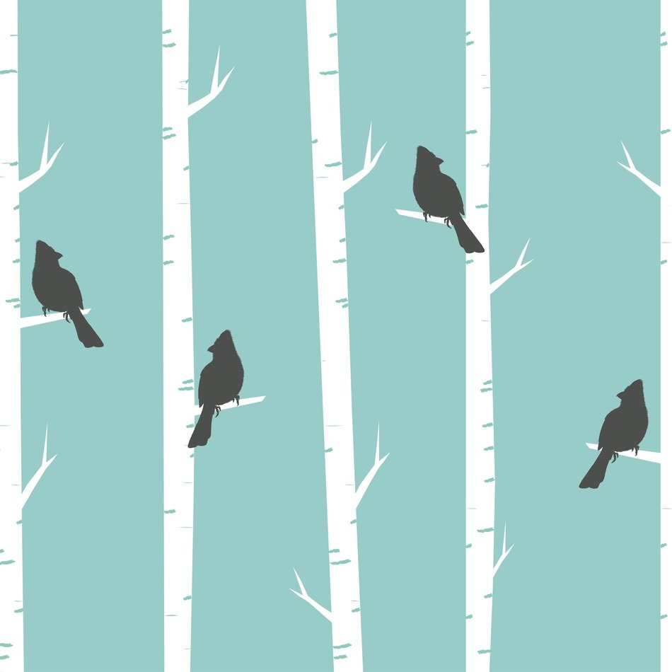 wallpaper with birds on the birch
