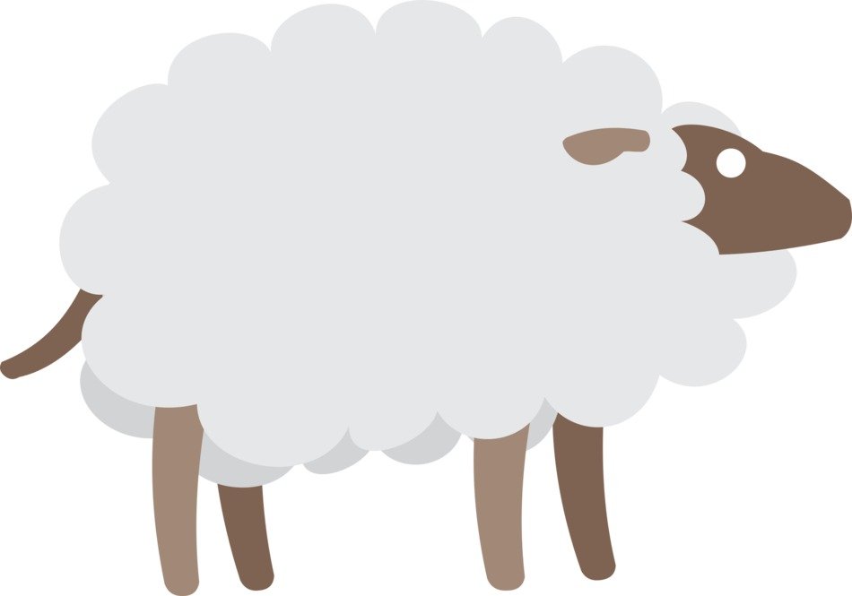 Picture of Sheep
