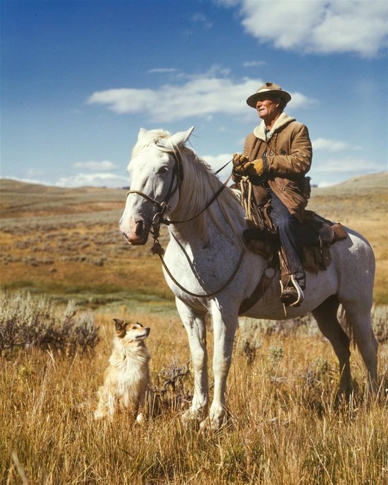 shepherd on horseback with a dog