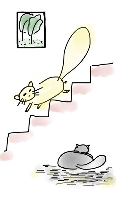 drawing a cat on the stairs in the house