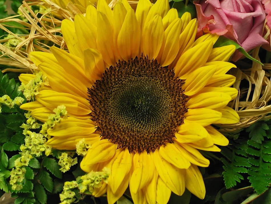 thanksgiving bouquet with sun flower