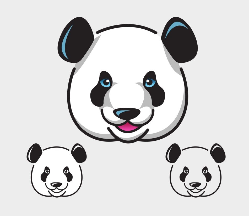 panda heads on at grey background