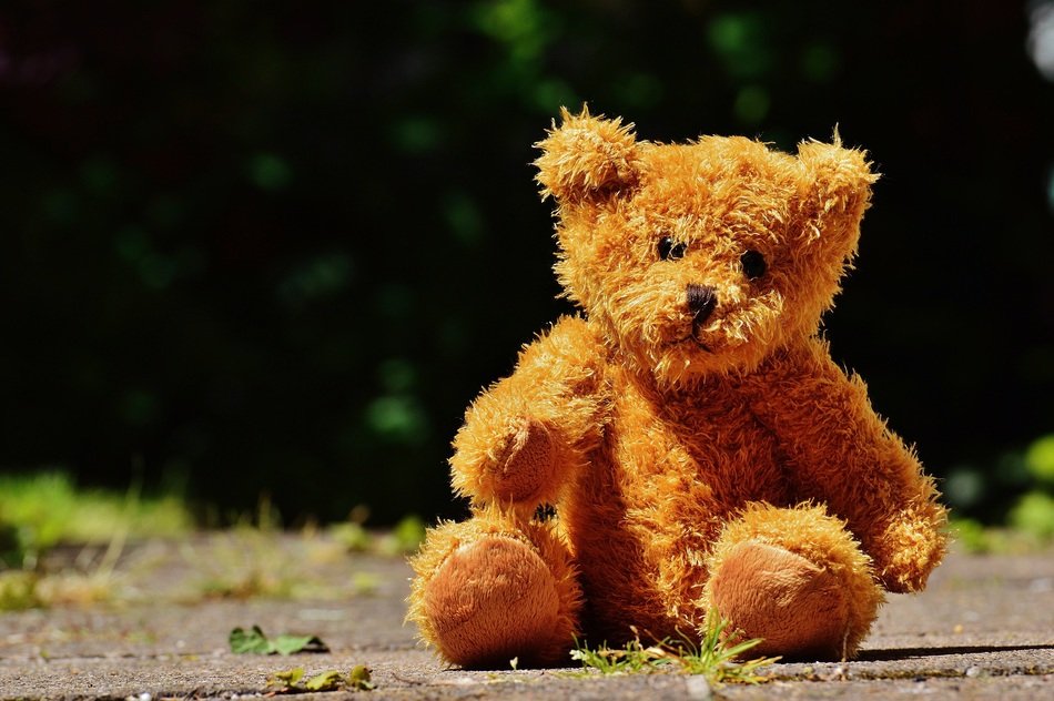 brown teddy bear on the road