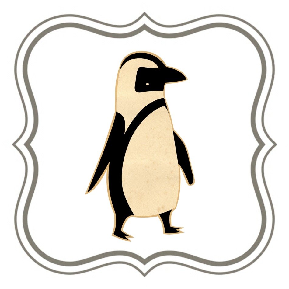 picture of a penguin in a frame