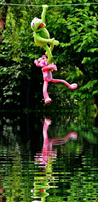 toy frog and pink panther on the lake