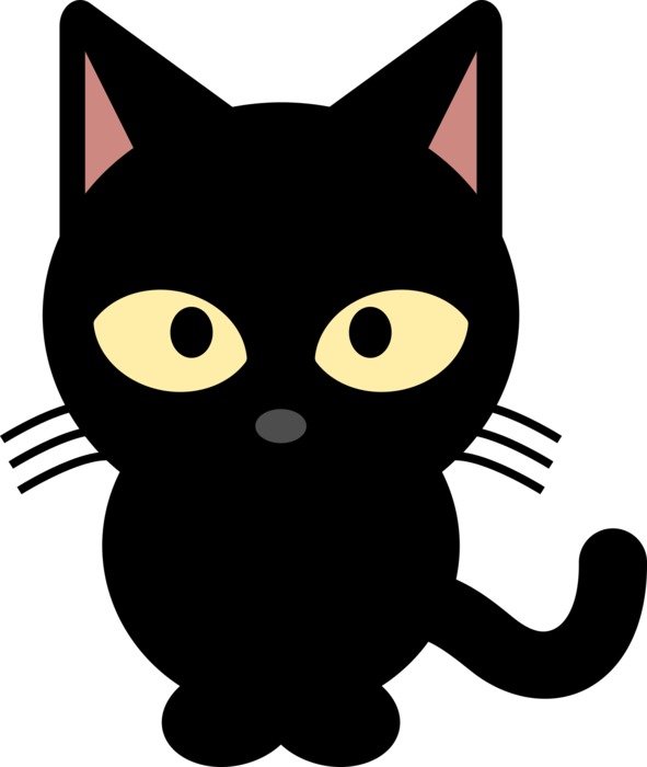 Picture of Black Cat