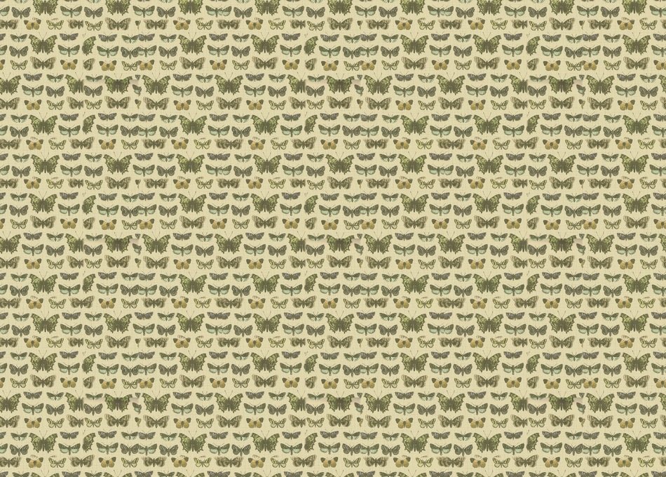 Background of butterflies clipart