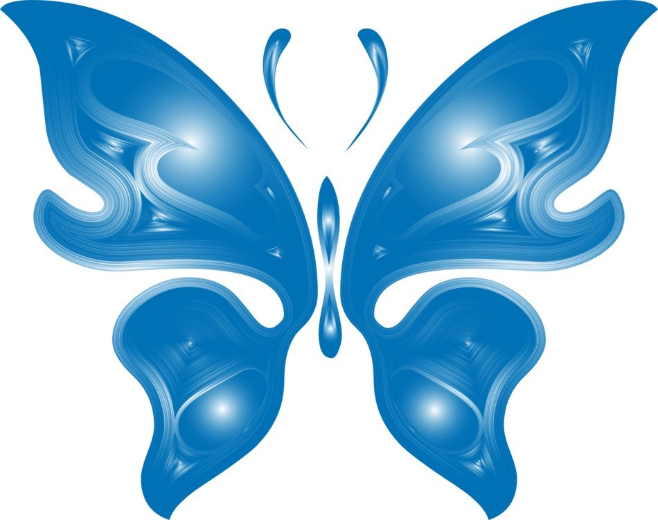 blue butterfly image