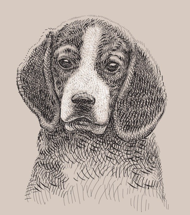 clipart portrait of young Dog