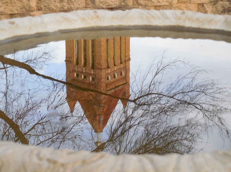 reflections of a building in a bird cup