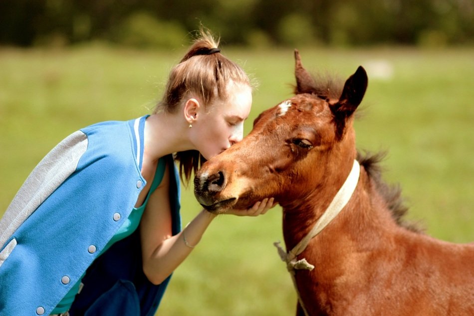 portrait of girl is kissing pony on the cheek