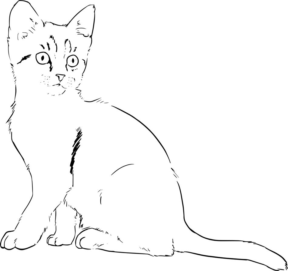 line art kitten