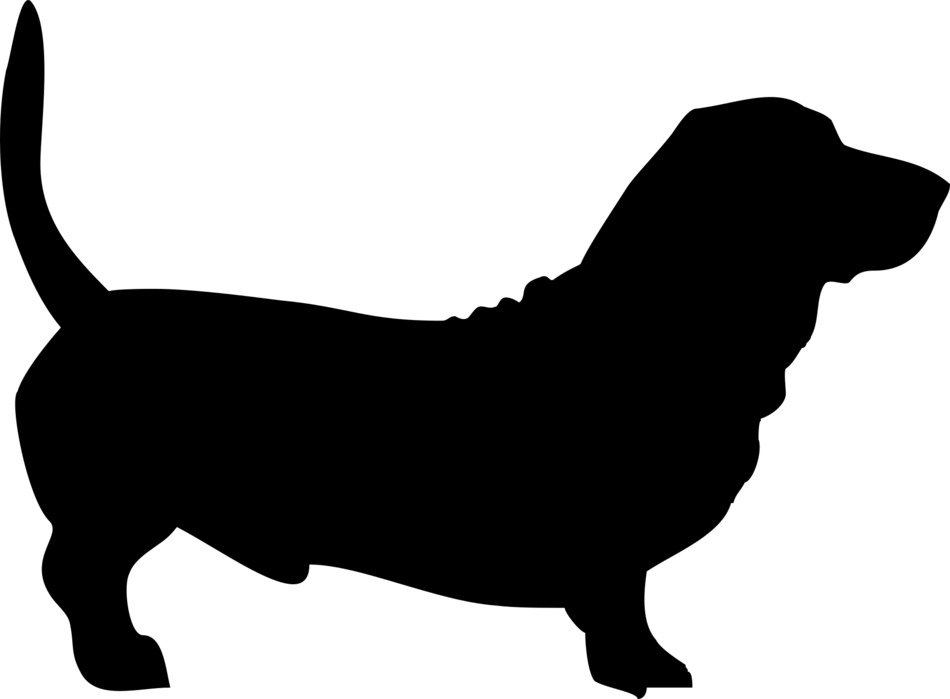 Black basset as a silhouette