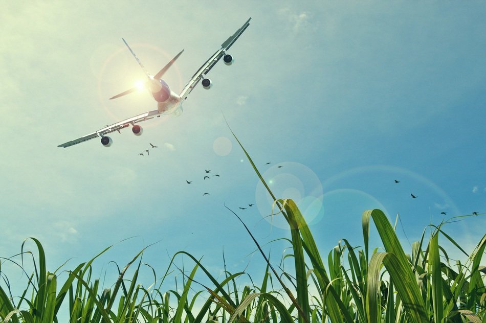 beautiful photo of the aircraft in the sky