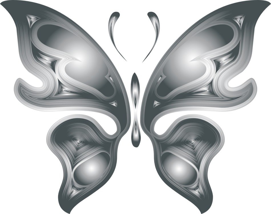 dark grey image of a butterfly