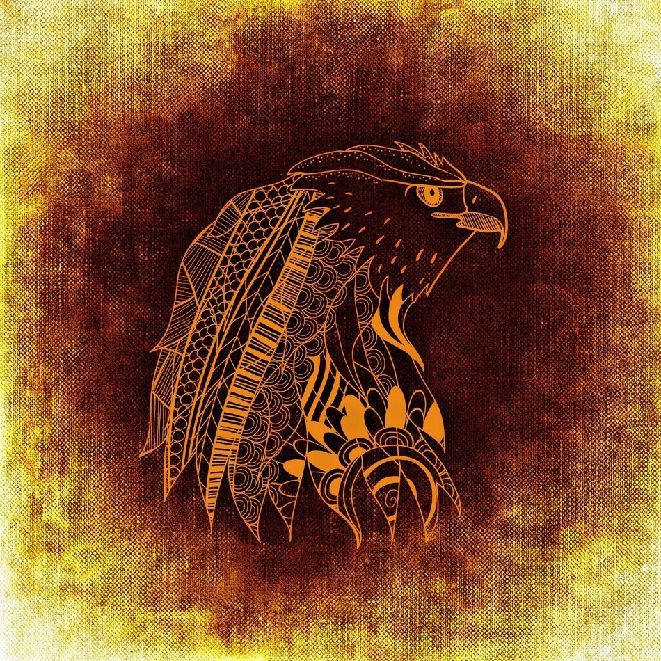 bird drawing on brown background