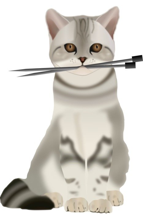 Cat with Spokes drawing