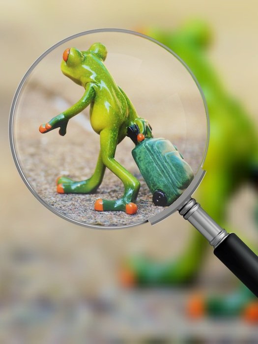 Photo of toy frog through a magnifying glass