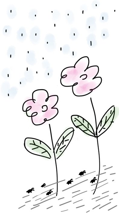 to Flowers in Rain, sketch