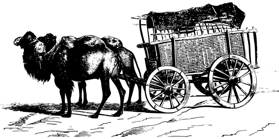 cart with camels as picture