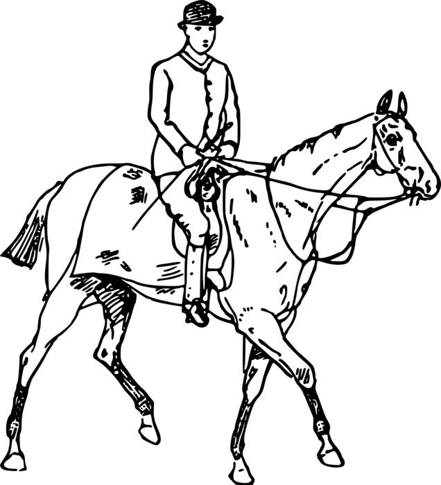 black and white drawing of a rider on the horse