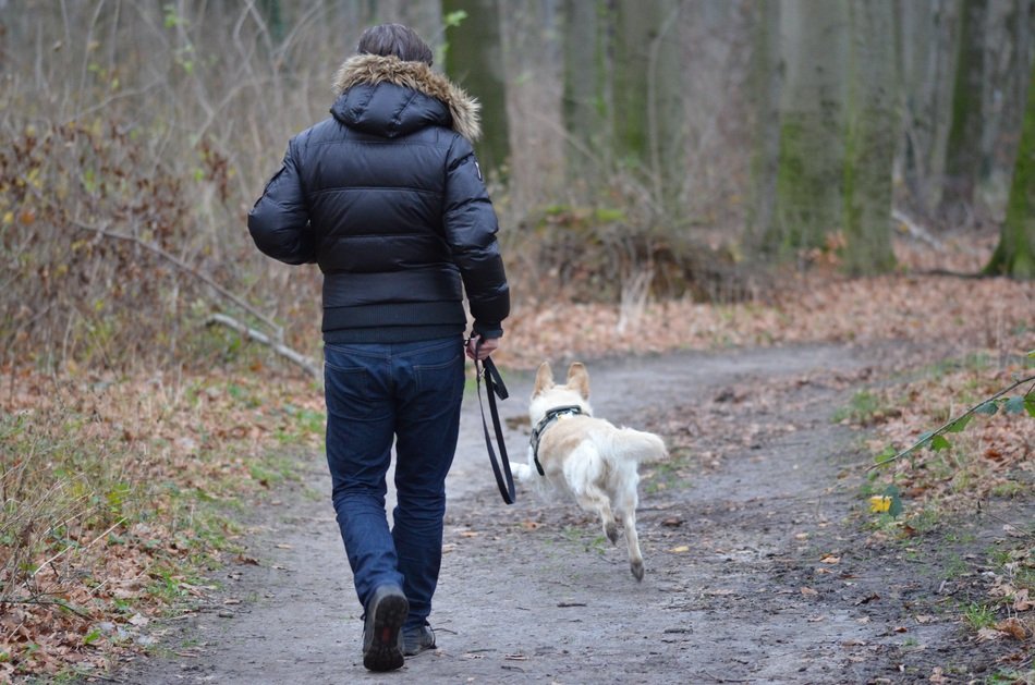 dog with human in the park