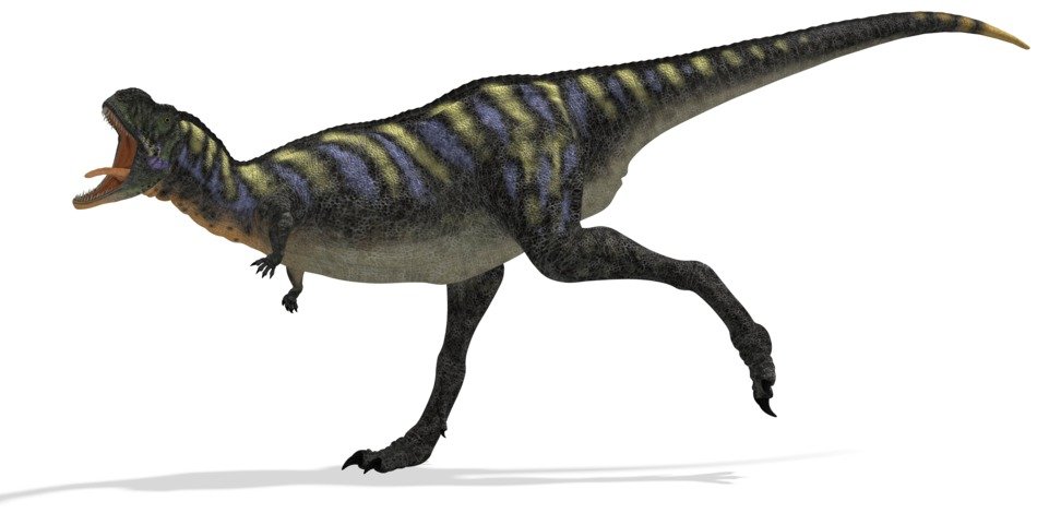 aucasaurus from the dinosaur range