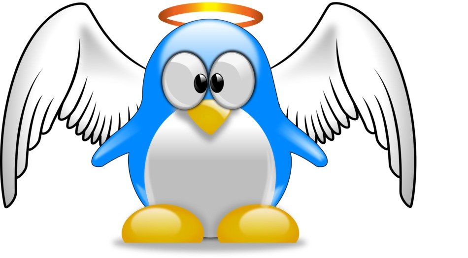 Clipart of Penguin angel