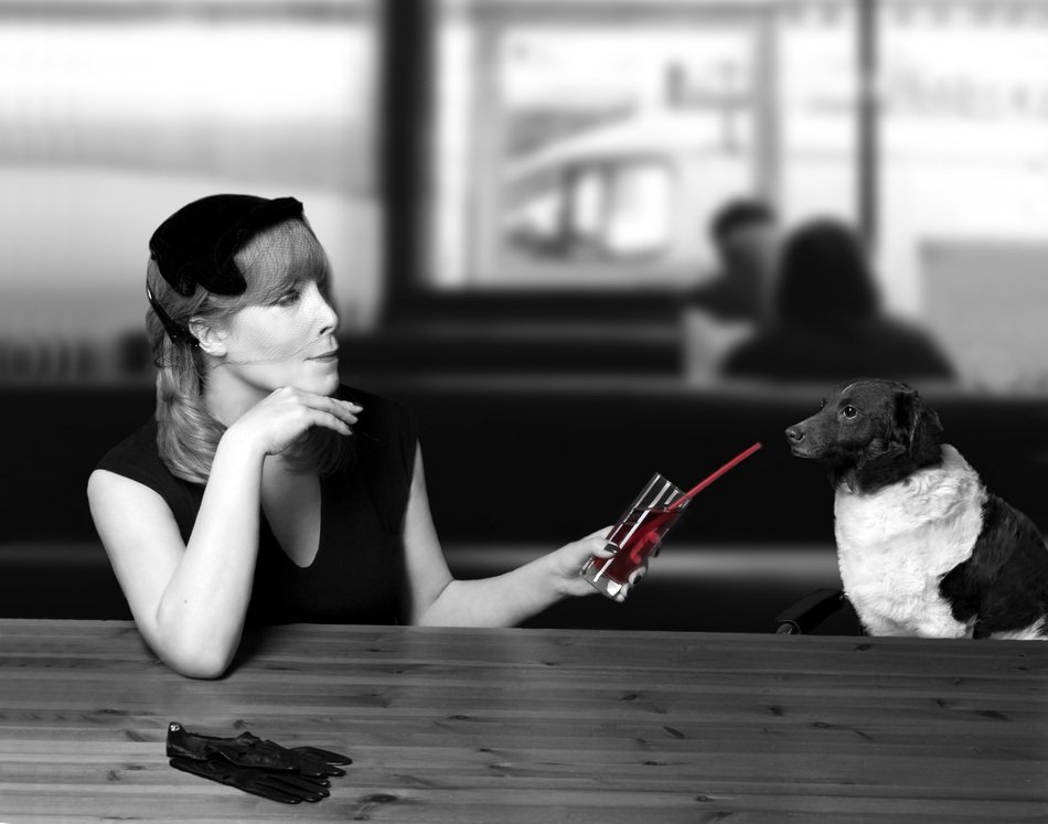 Dog and woman in a cafe