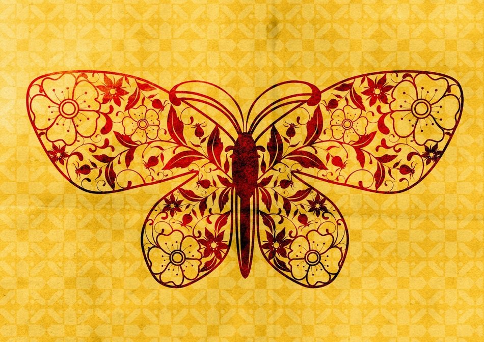 butterfly on a yellow background as a picture