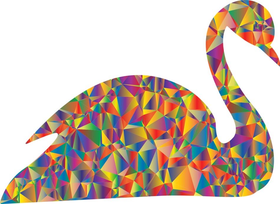 color image of Swan