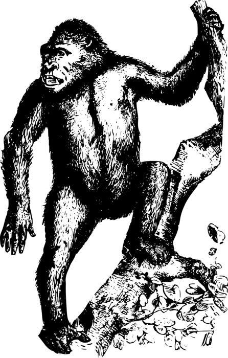 painted gorilla