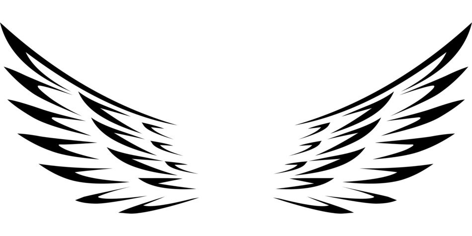 Black angel wings on the white background