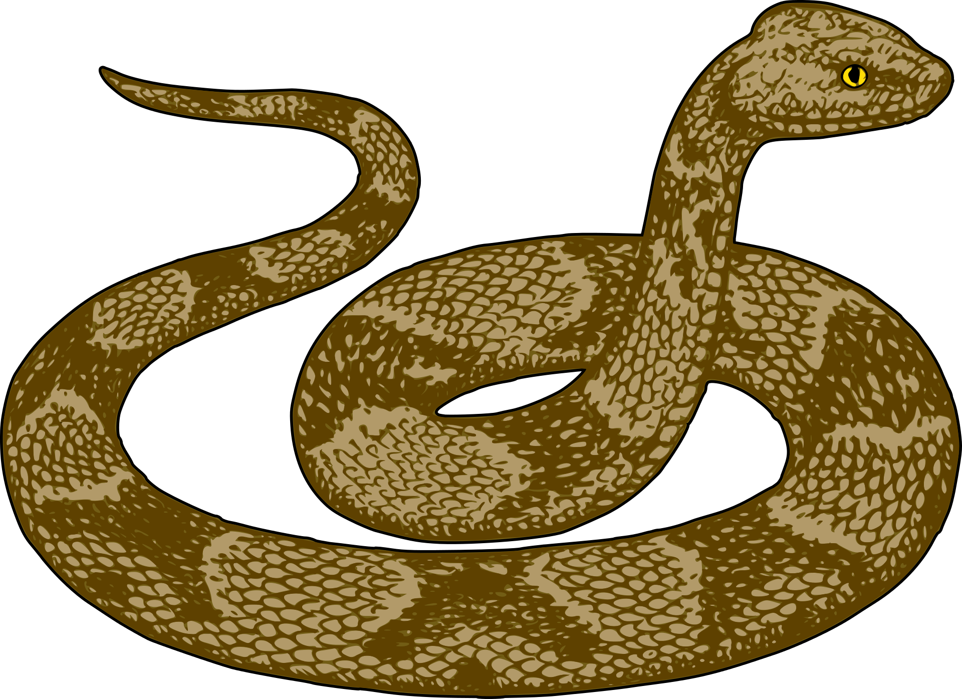 Copperhead snake drawing free image download