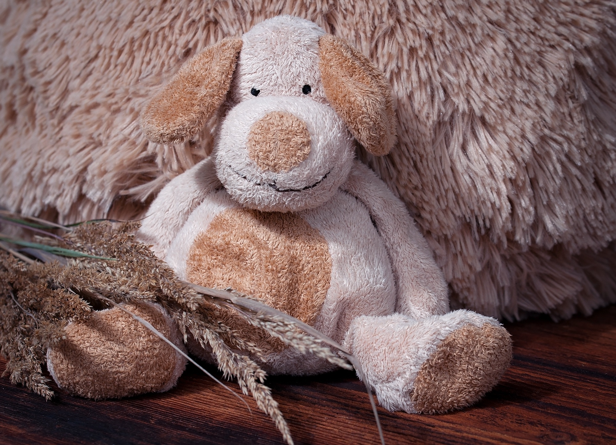 Teddy bear toy on the ground in the house free image download