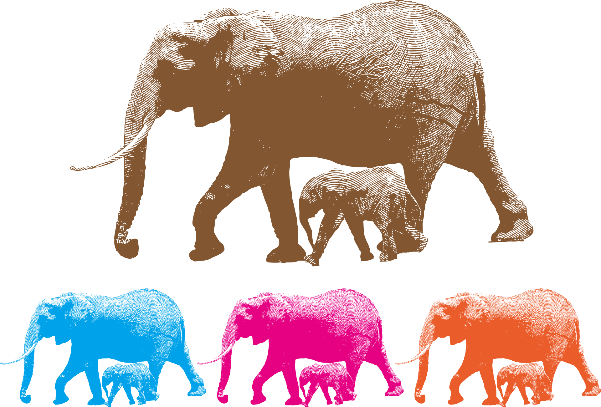 Variety Of Elephants In A Colorful Picture Free Image Download 9952