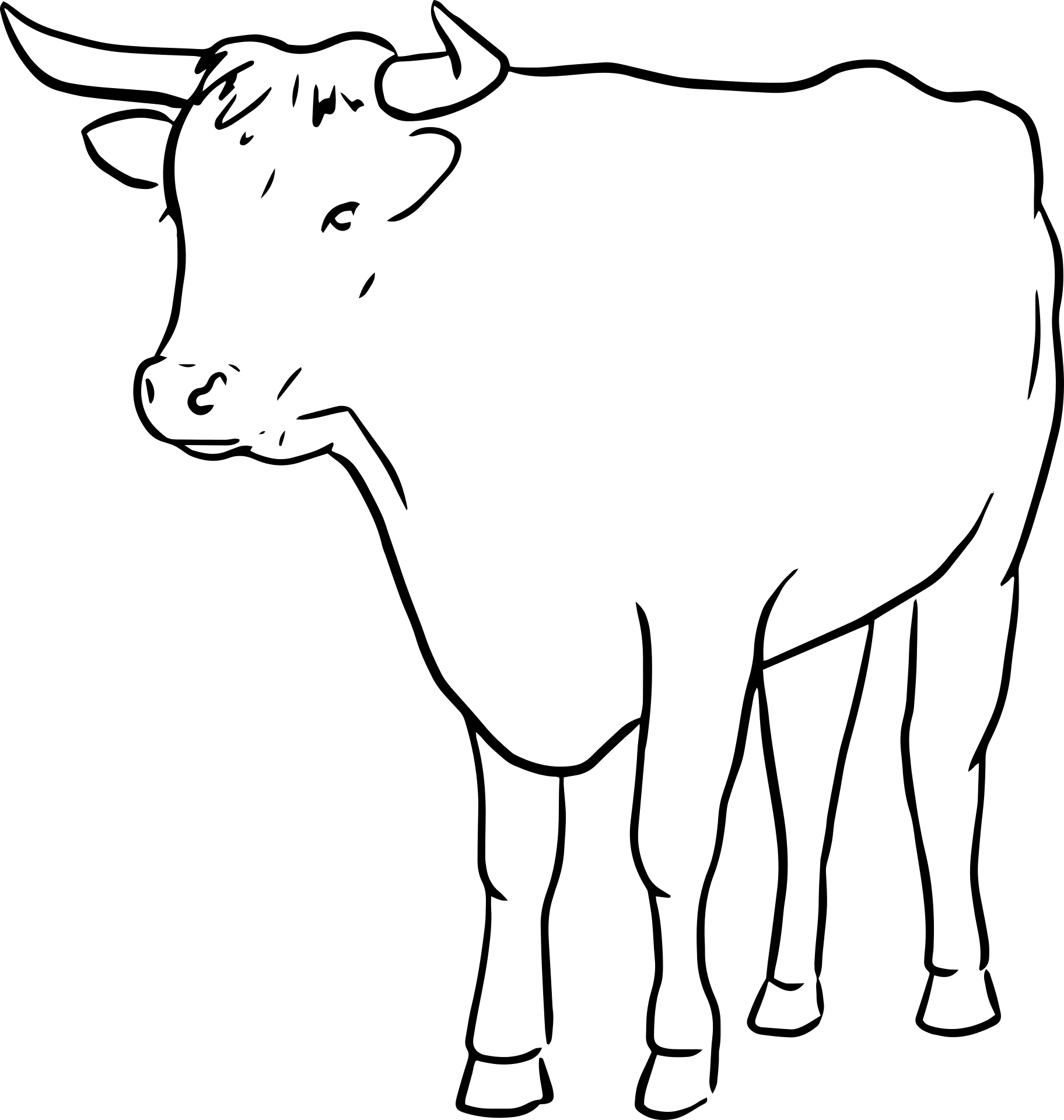 Корова черно белая картинка