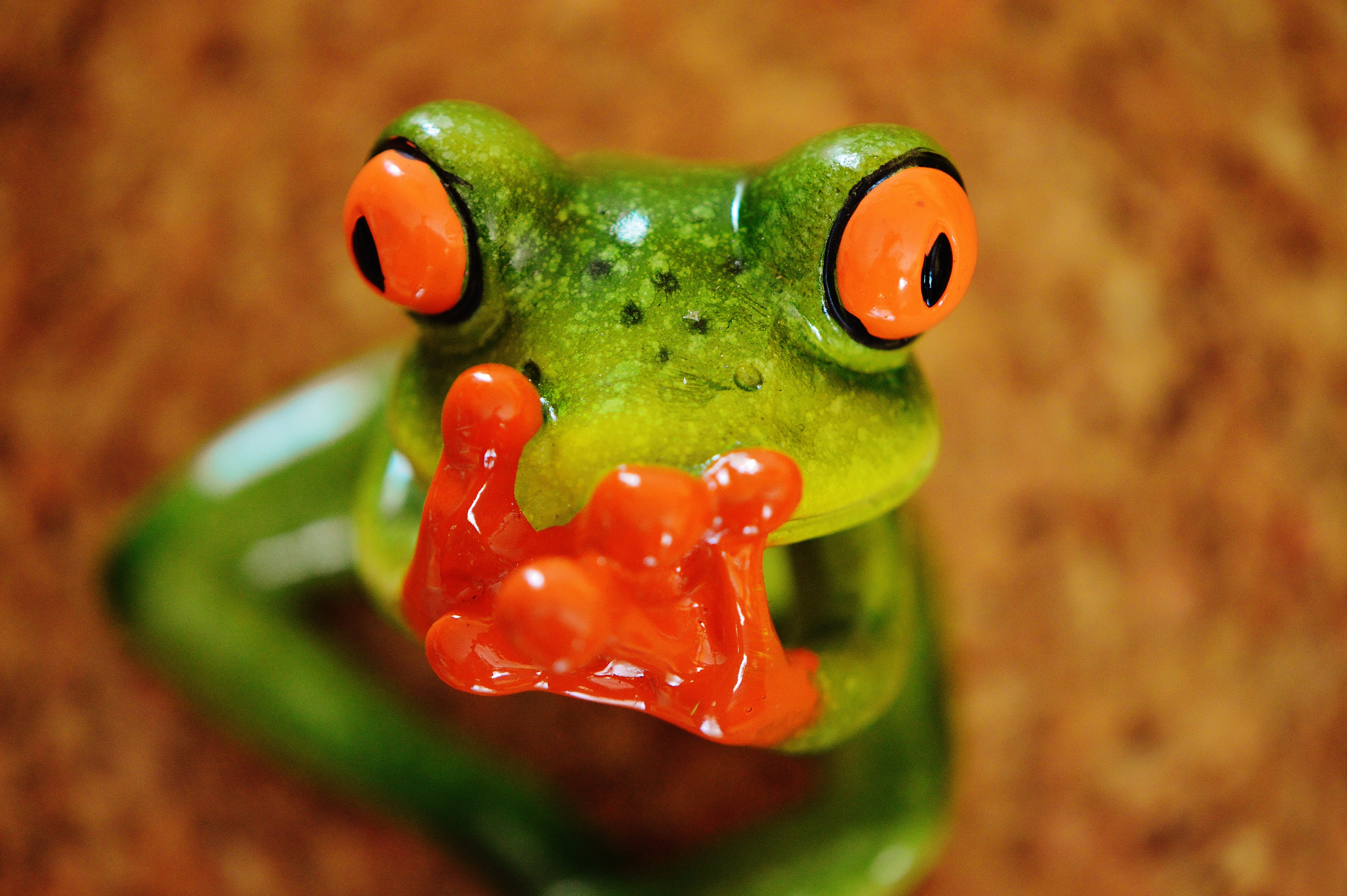 Радостная жаба