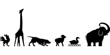 silhouettes of African animals as a drawing