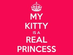 cat appreciation day red poster
