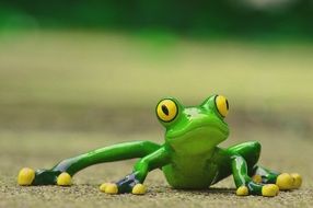 frog like a funny animal