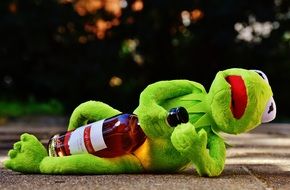 green frog lays on a path in a park with a bottle of wine in their hands