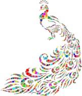abstract image of of peacock