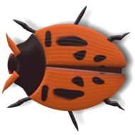 brick-red ladybug