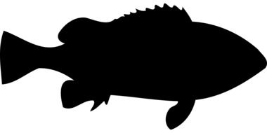 black silhouette of fish