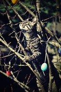 cat on a tree with easter eggs